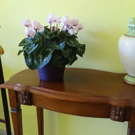 Chambre Ajaccio Homestay