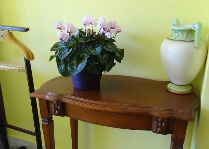 Chambre Ajaccio Homestay